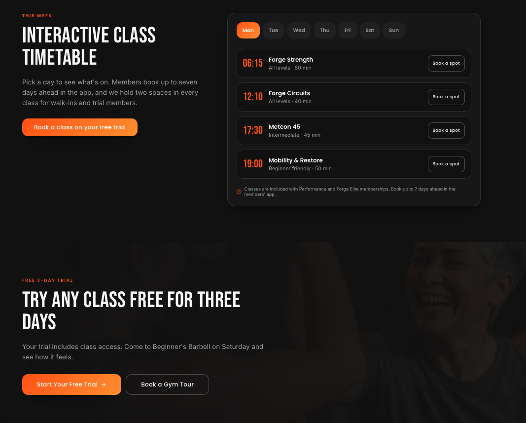 Fitness Business concept — Interactive class timetable with day filters and per-session booking